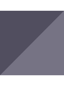 Поясная сумка PUMA Evoess Waist Bag модель 090961 Фото