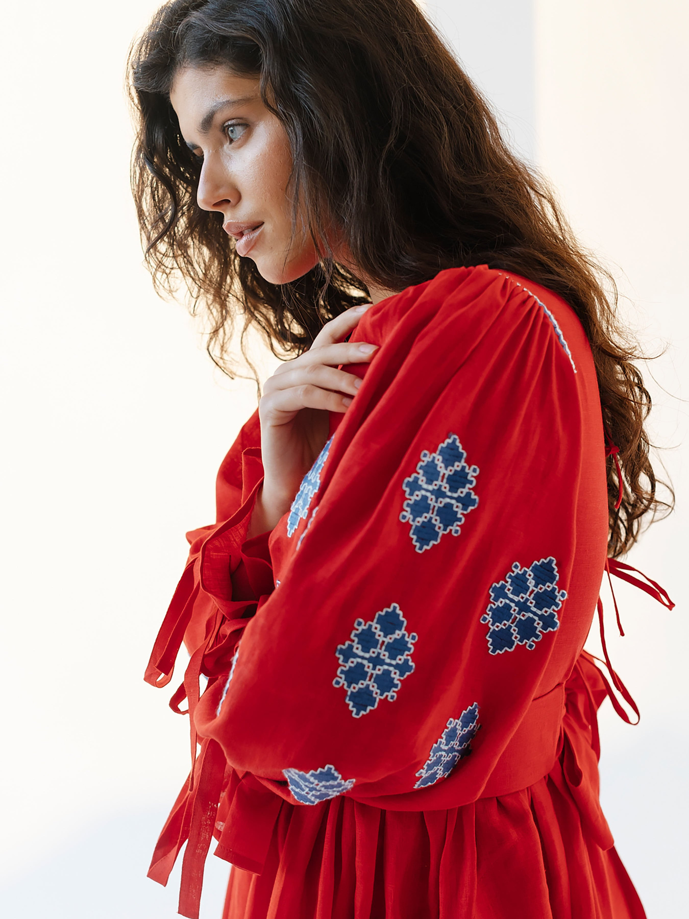 Вишита сукня Embroidered Gem модель 524161 Фото