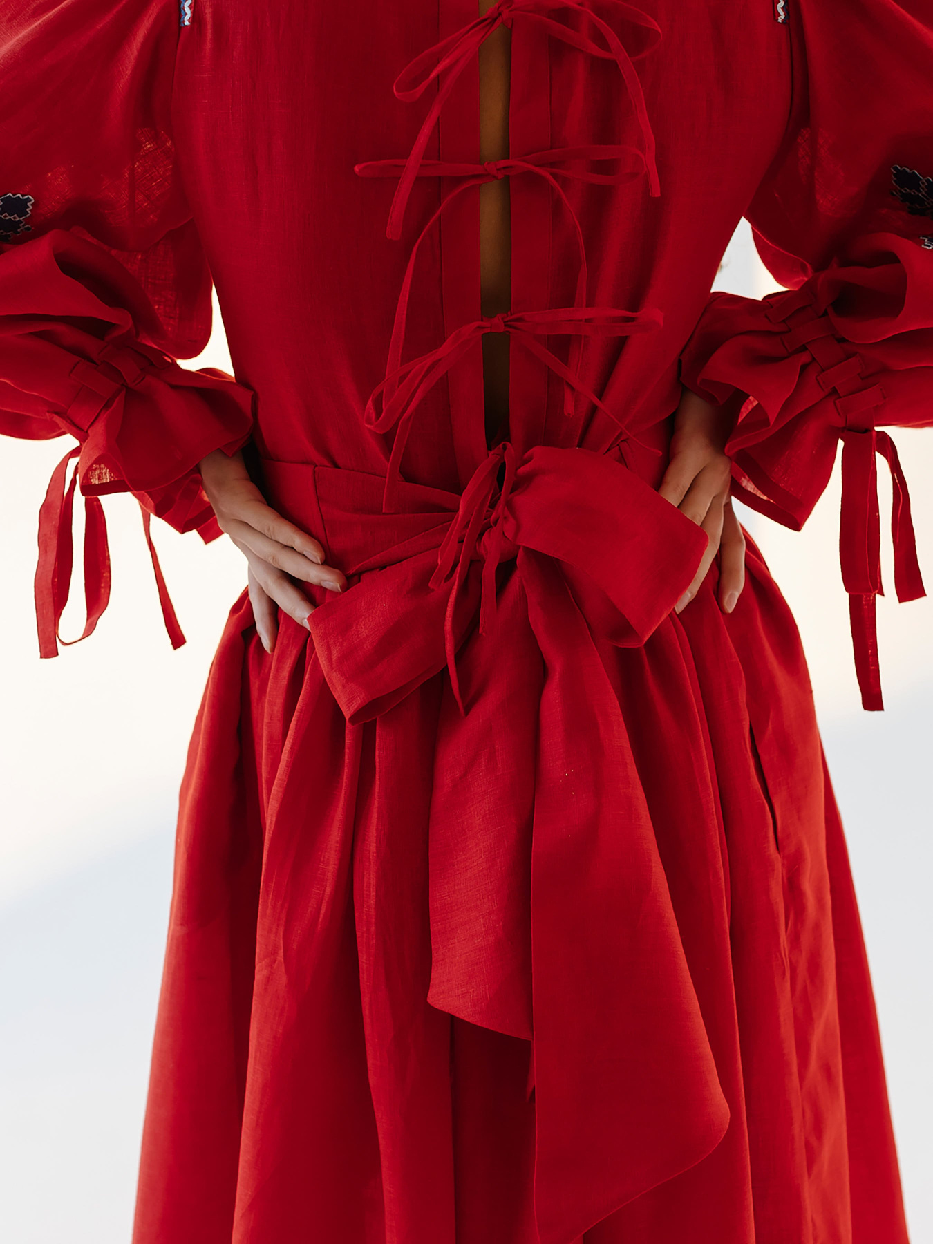 Вишита сукня Embroidered Gem модель 524161 Фото