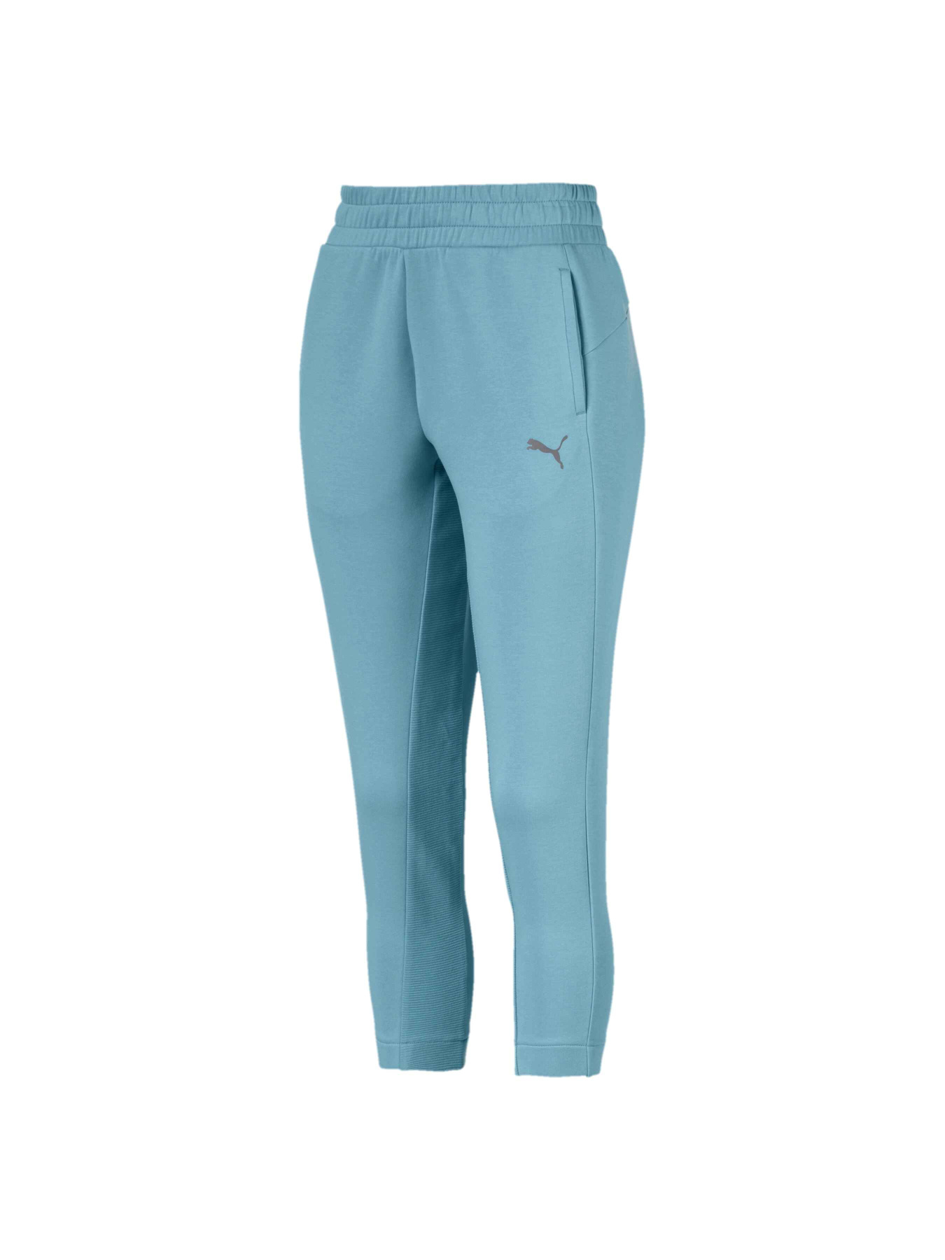 Штаны спортивные PUMA Evostripe Pants модель 580062 Фото