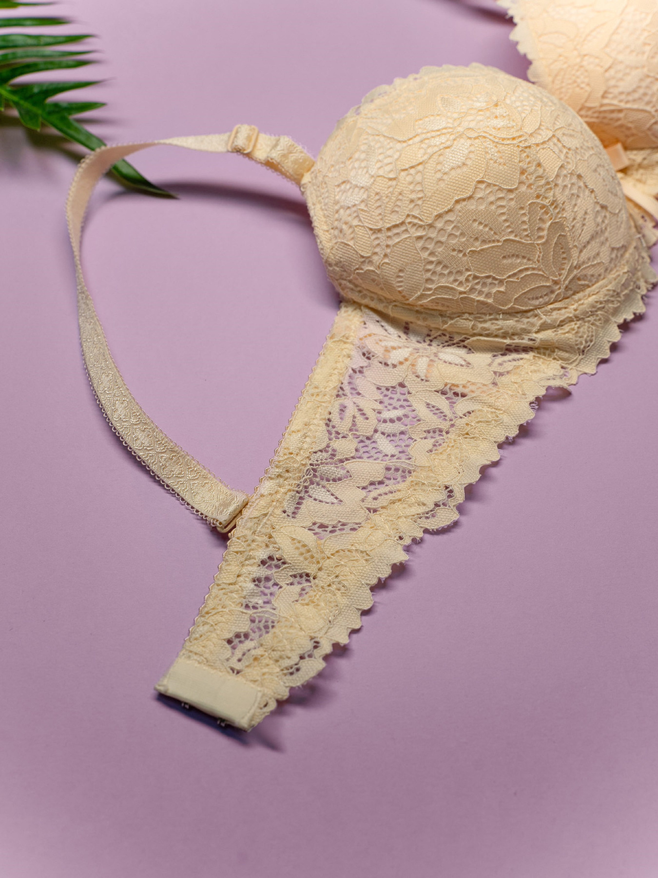 Бюстгальтер ISSA Plus модель BL3-162_бежевый Фото