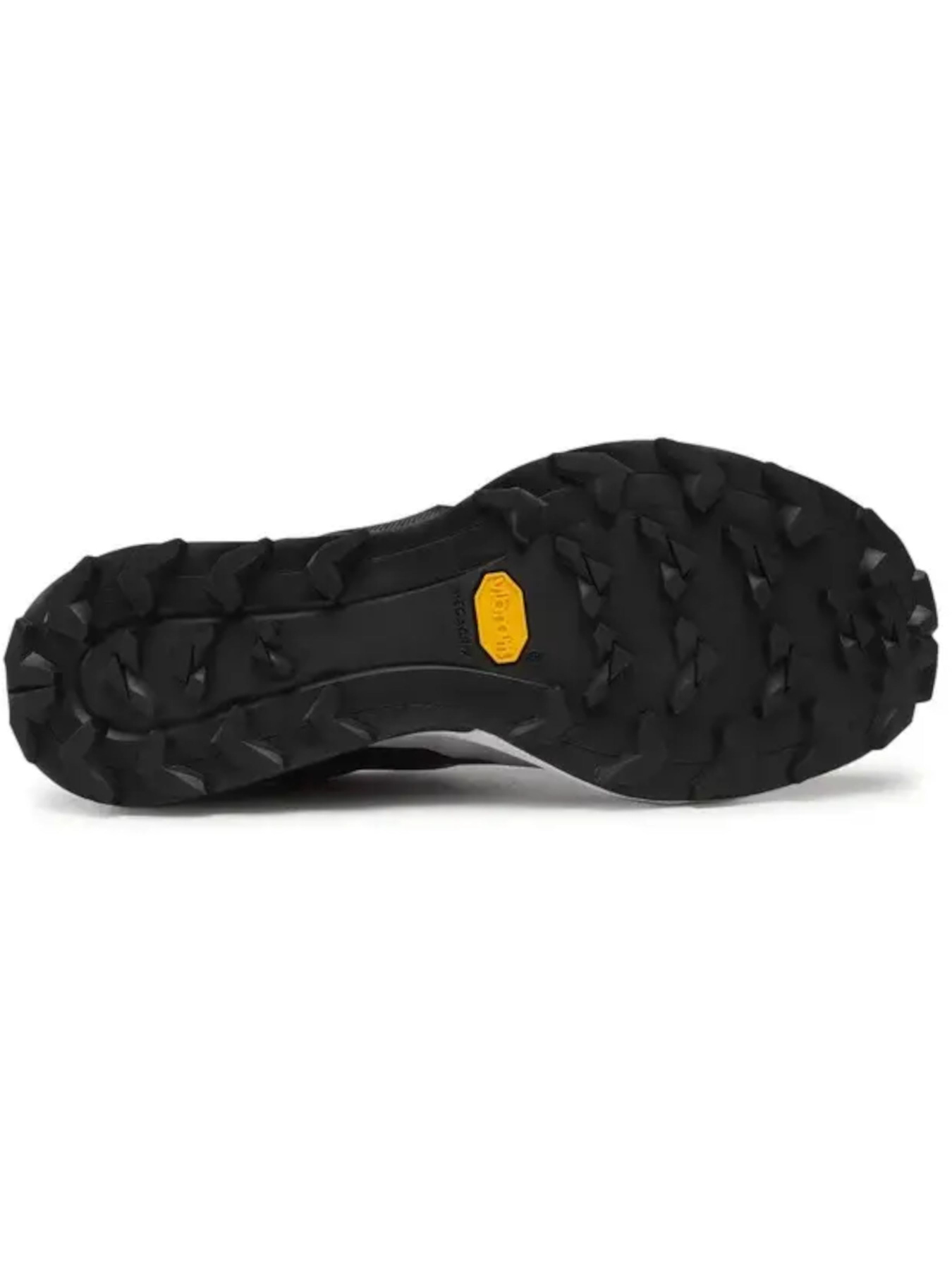 Кросівки для бігу DYNAFIT Alpine Dna модель 100004069 Кросівки для бігу DYNAFIT Alpine Dna модель 100004069 Фото