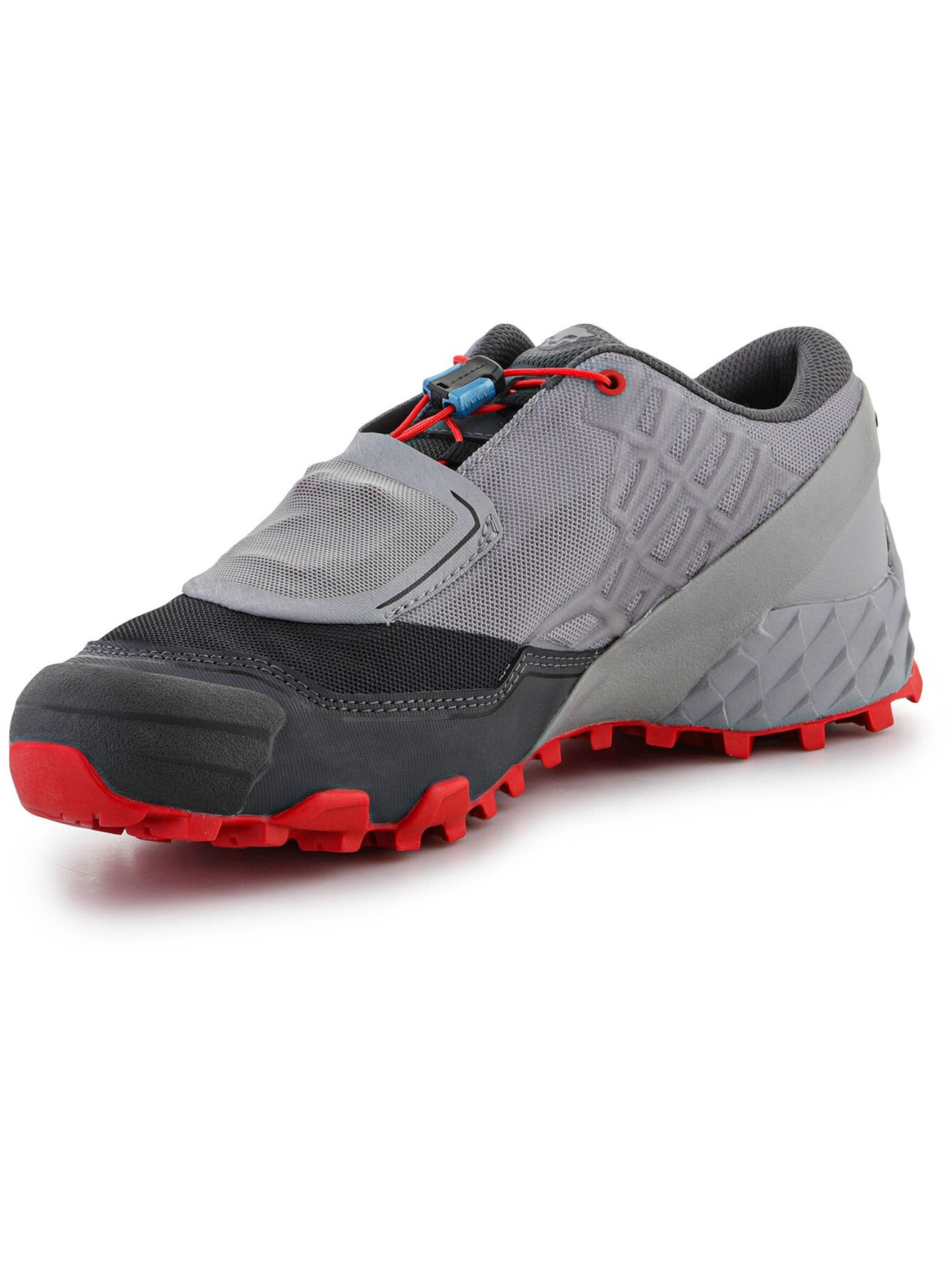 Тактические кроссовки DYNAFIT Feline SL модель 100004235 Фото