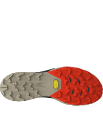 Кроссовки для бега DYNAFIT Alpine Pro 2 модель 100010308 Фото