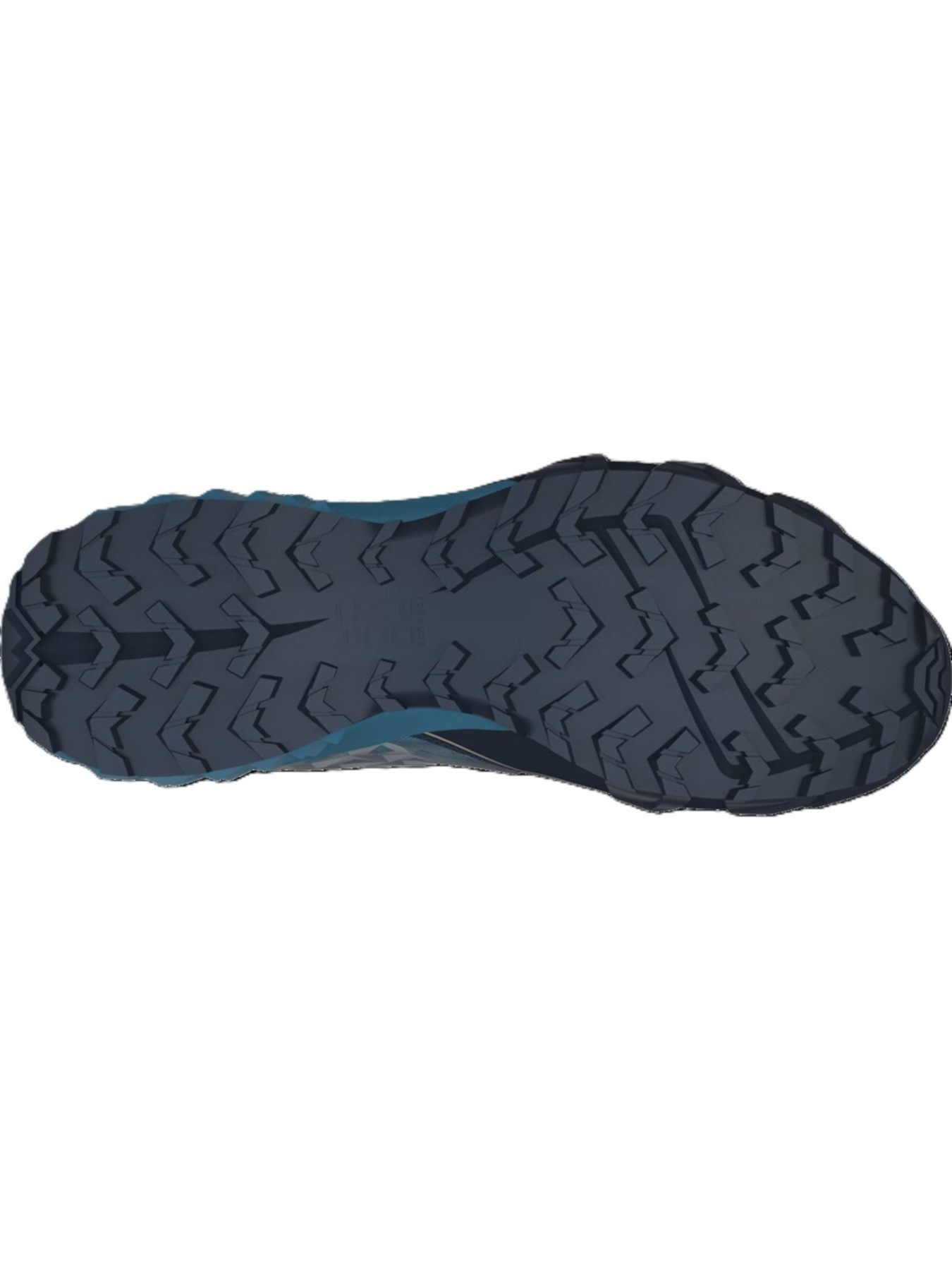 Кроссовки для бега DYNAFIT Feline SL GTX модель 100016464 Фото