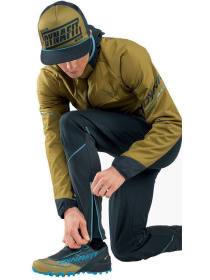 Кроссовки для бега DYNAFIT Feline SL GTX модель 100016464 Фото