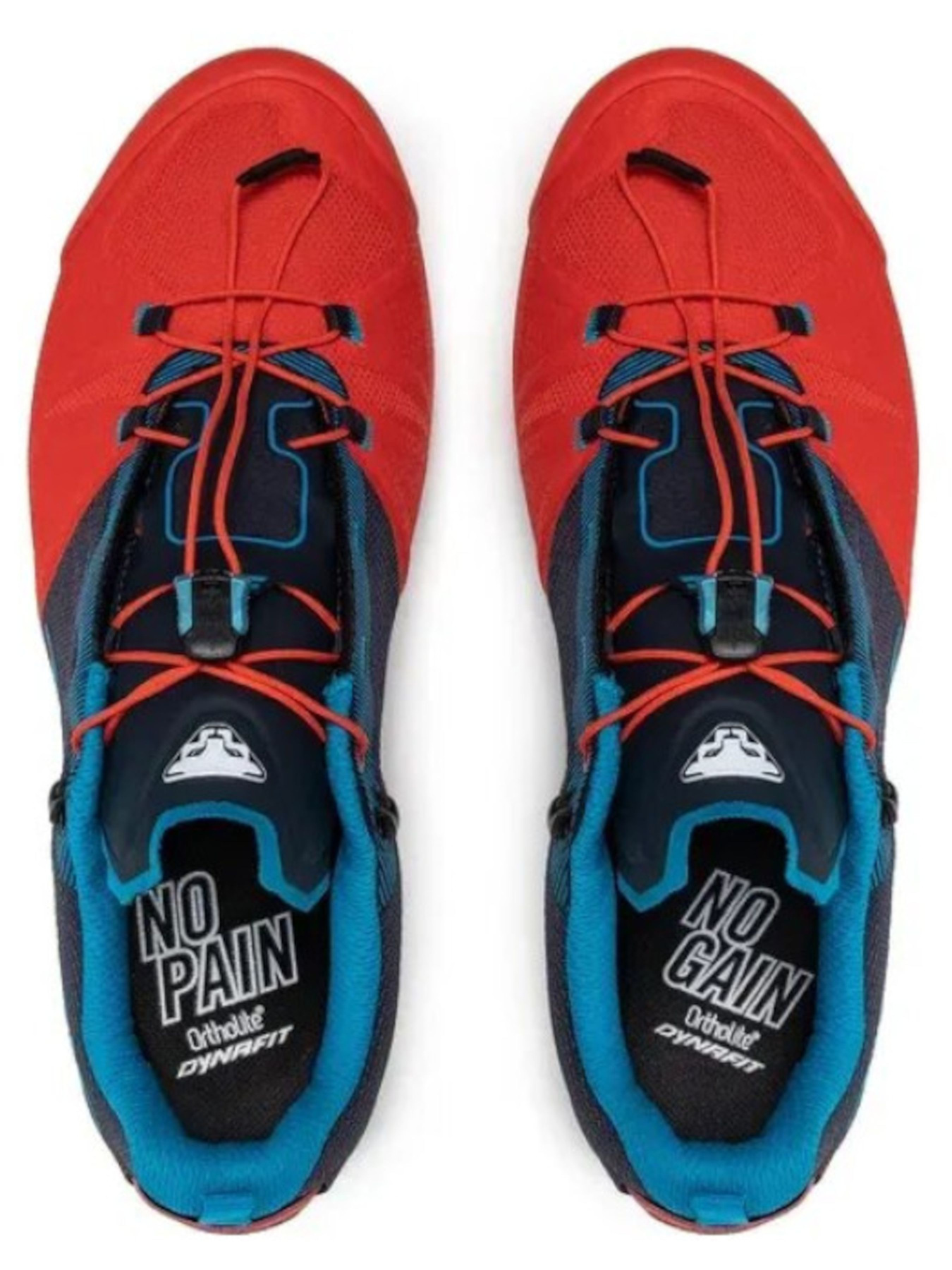 Кроссовки для бега DYNAFIT Transalper GTX модель 100017703 Фото