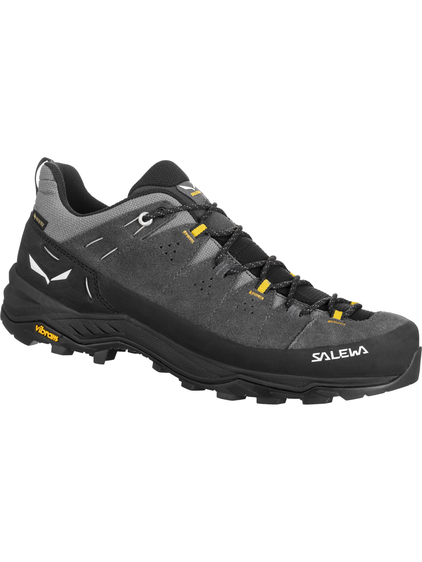 Тактичні кросівки Salewa Alp Trainer 2 Gtx модель 100018814 Фото