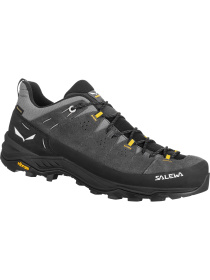 Кросівки аутдор Salewa Alp Trainer 2 Gtx модель 100018814 Кросівки аутдор Salewa Alp Trainer 2 Gtx модель 100018814 Фото
