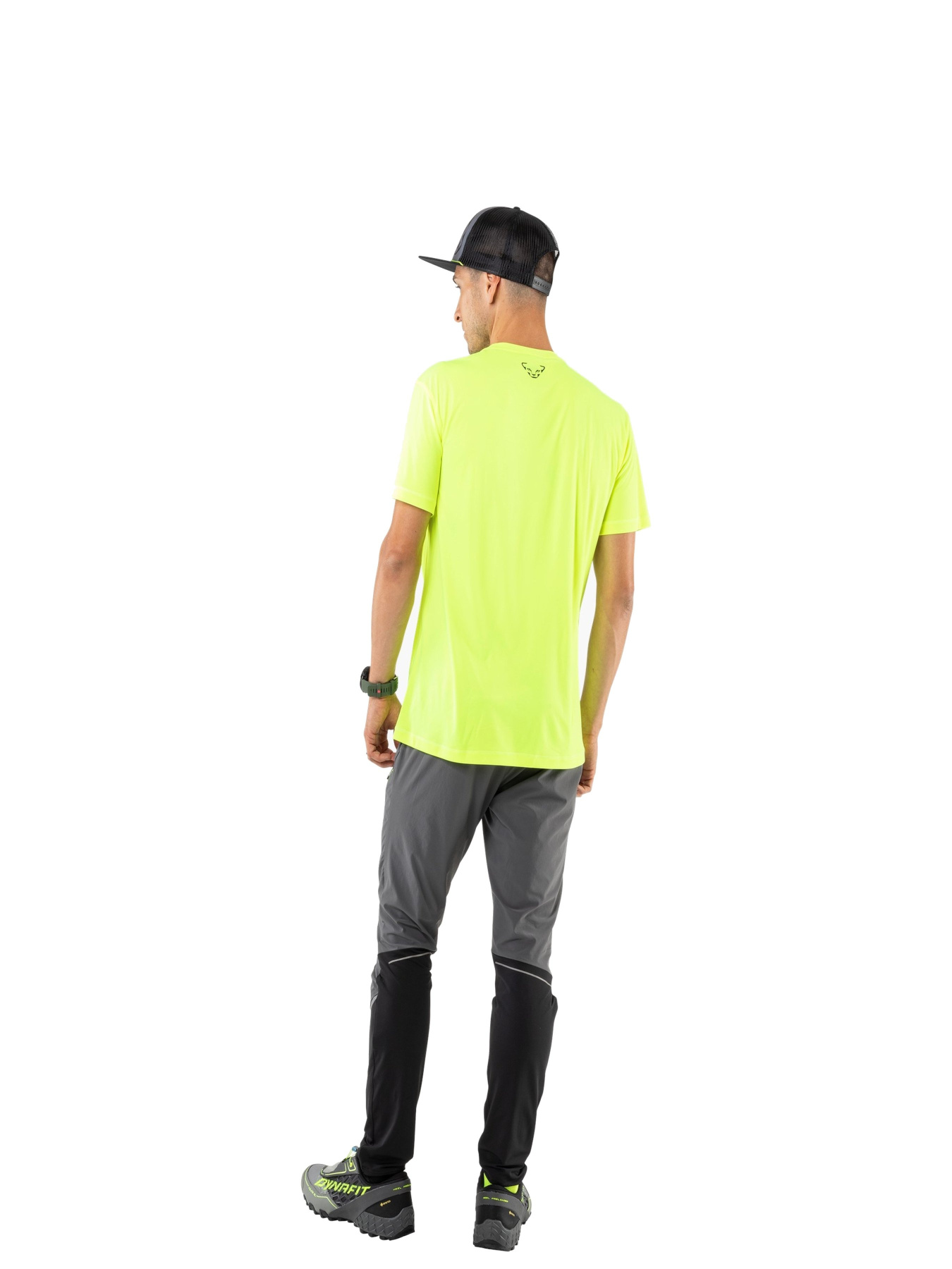 Кросівки для бігу DYNAFIT Feline Sl Gtx Mns модель 100028576 Кросівки для бігу DYNAFIT Feline Sl Gtx Mns модель 100028576 Фото