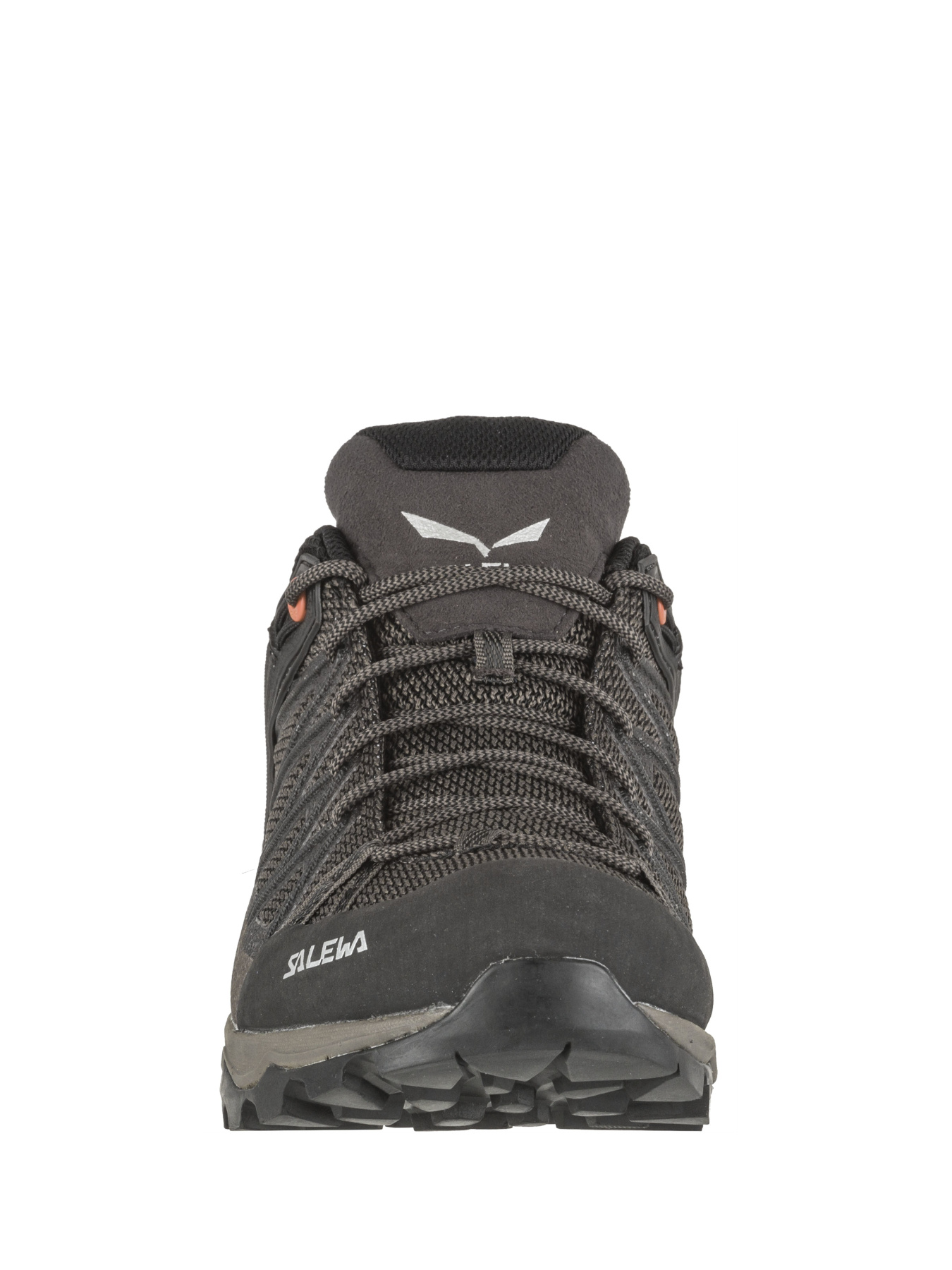 Кроссовки Salewa Mtn Trainer Lite Gtx модель 100030817 Фото