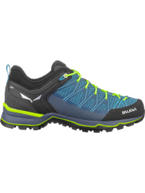 Кросівки аутдор Salewa Mtn Trainer Lite модель 100068671 Фото