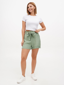 Шорты Sassofono модель A272-SC-2171_зелёный Фото