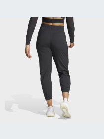 Штаны спортивные Adidas Clima модель IJ5923 Фото