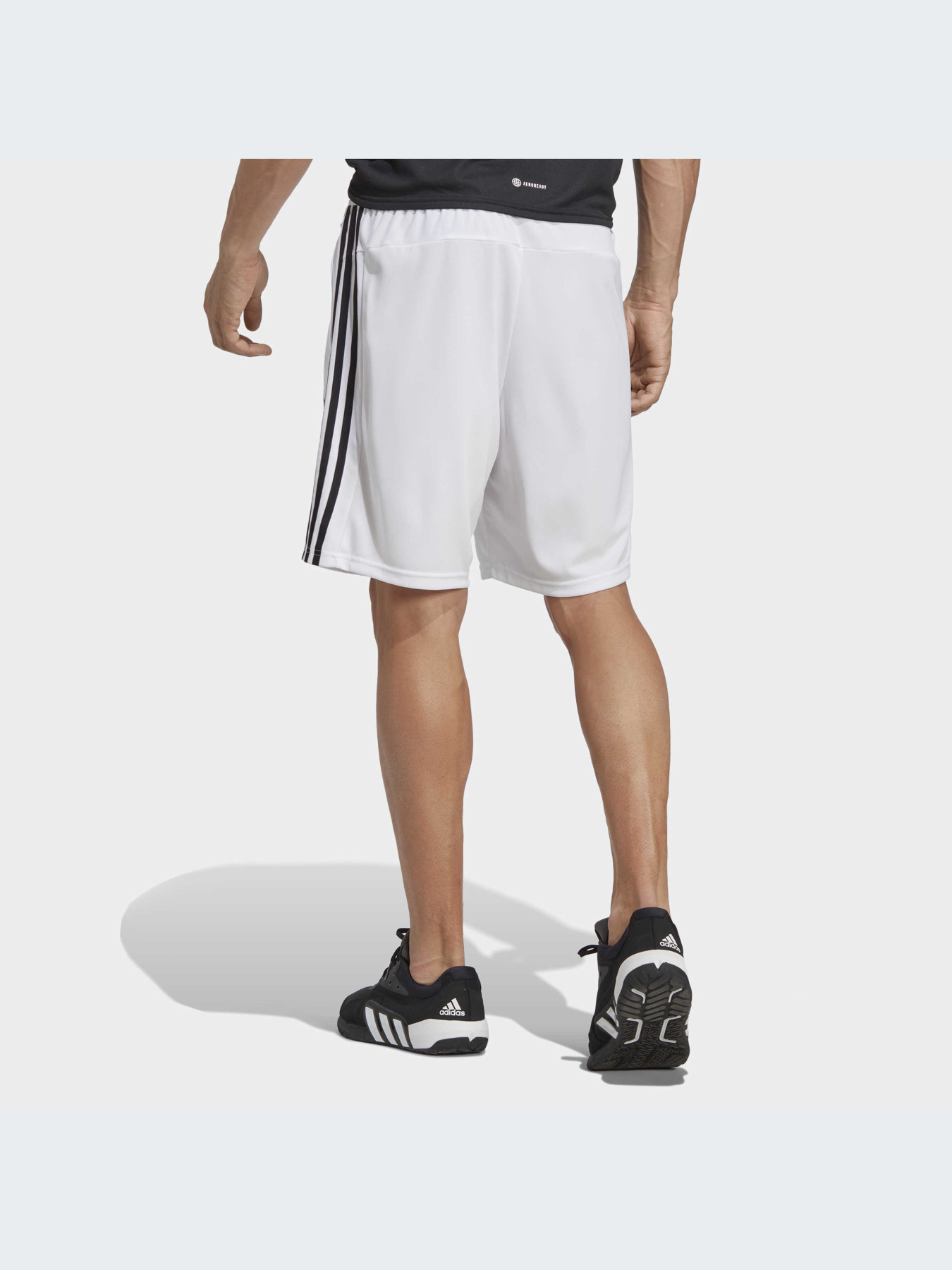 Спортивні шорти Adidas модель IB8244 Фото