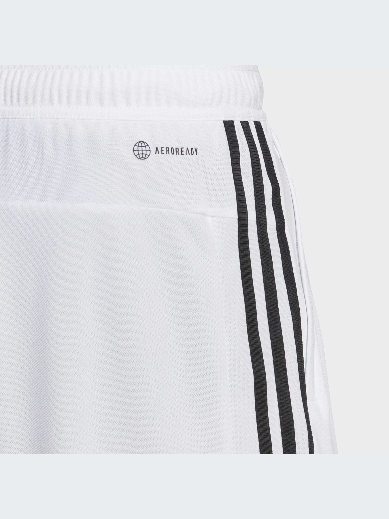 Спортивні шорти Adidas модель IB8244 Фото