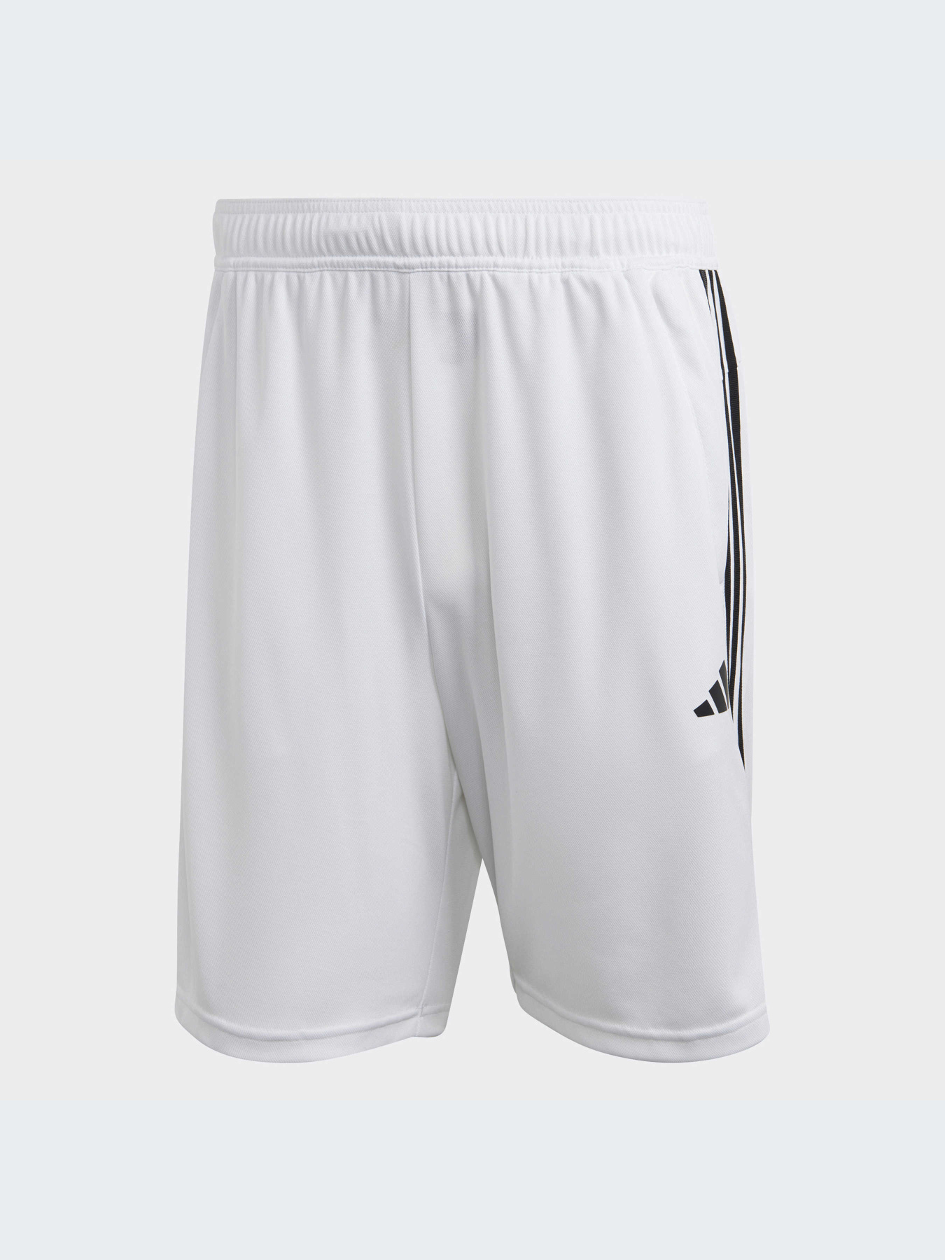 Спортивні шорти Adidas модель IB8244 Фото