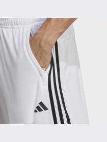 Спортивні шорти Adidas модель IB8244 Фото