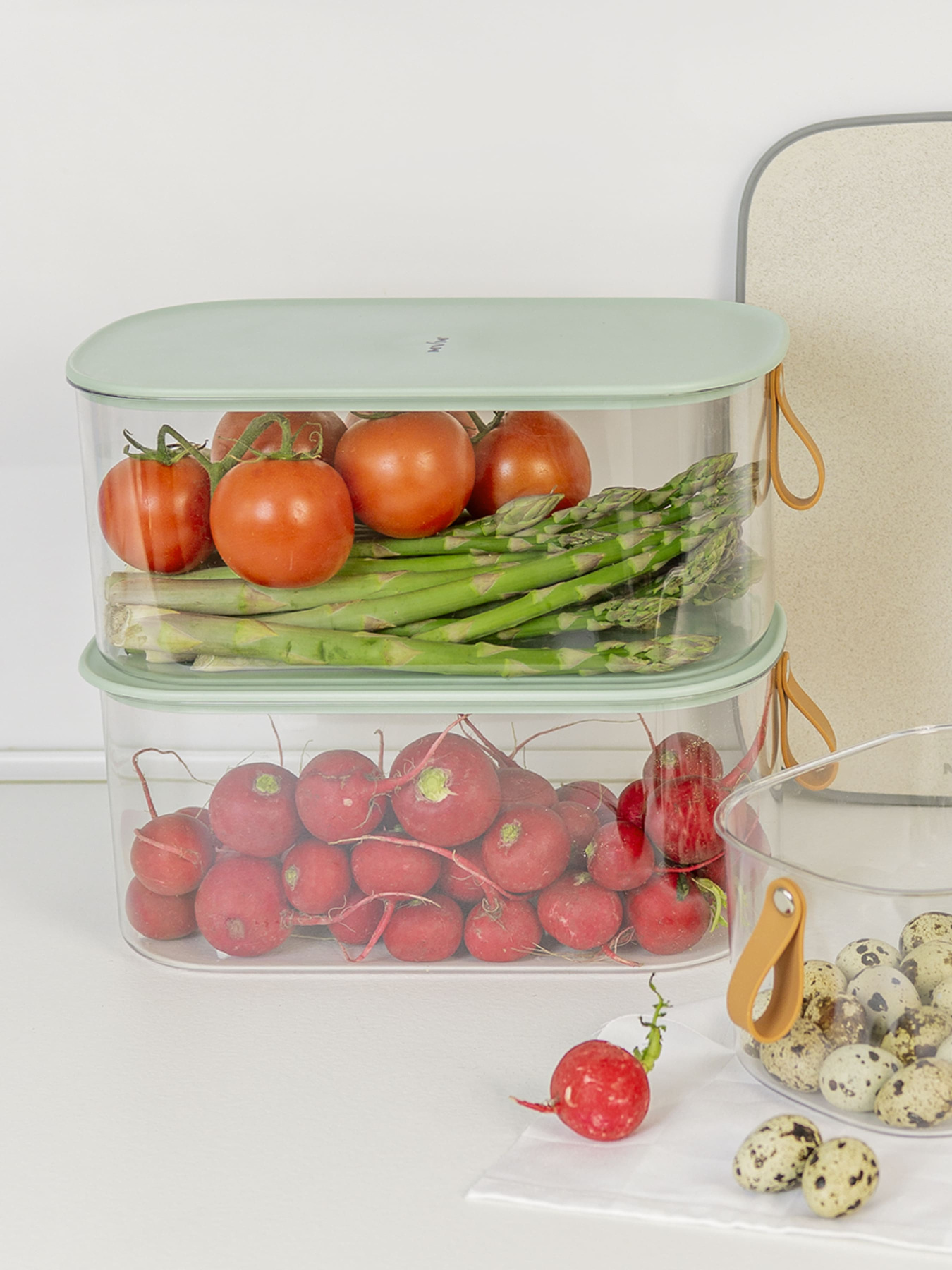 Контейнер для хранения с крышкой прозрачный/зеленый MBM MY HOME модель KP-01 M T/GREEN Фото