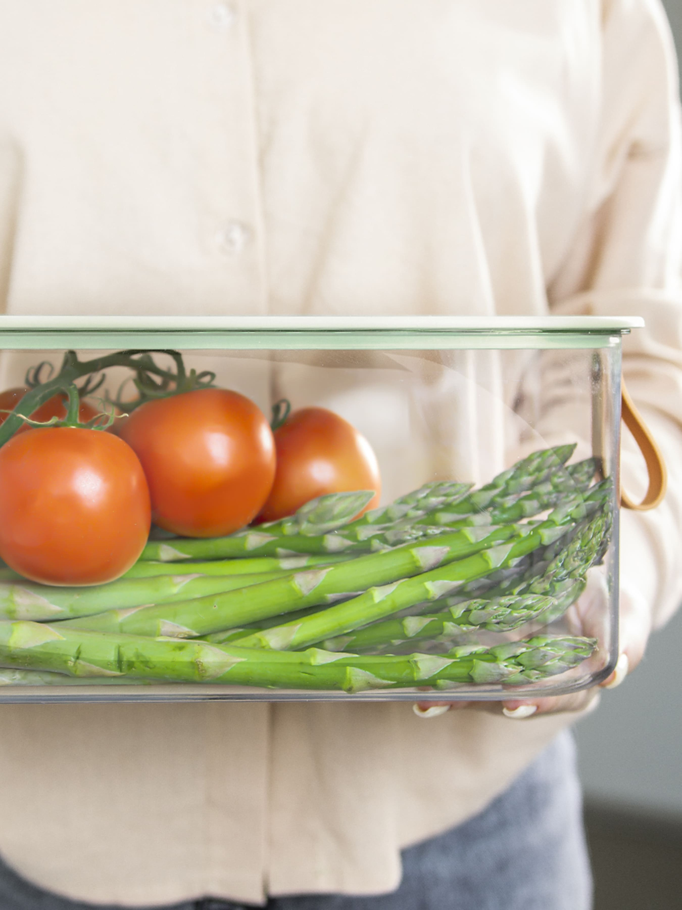 Контейнер для хранения с крышкой прозрачный/зеленый MBM MY HOME модель KP-01 M T/GREEN Фото