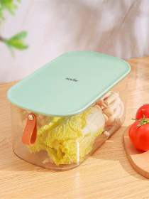 Контейнер для хранения с крышкой прозрачный/зеленый MBM MY HOME модель KP-01 M T/GREEN Фото