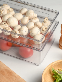 Контейнер для хранения с крышкой для холодильника прозрачный MBM MY HOME модель KP-72 S T Фото