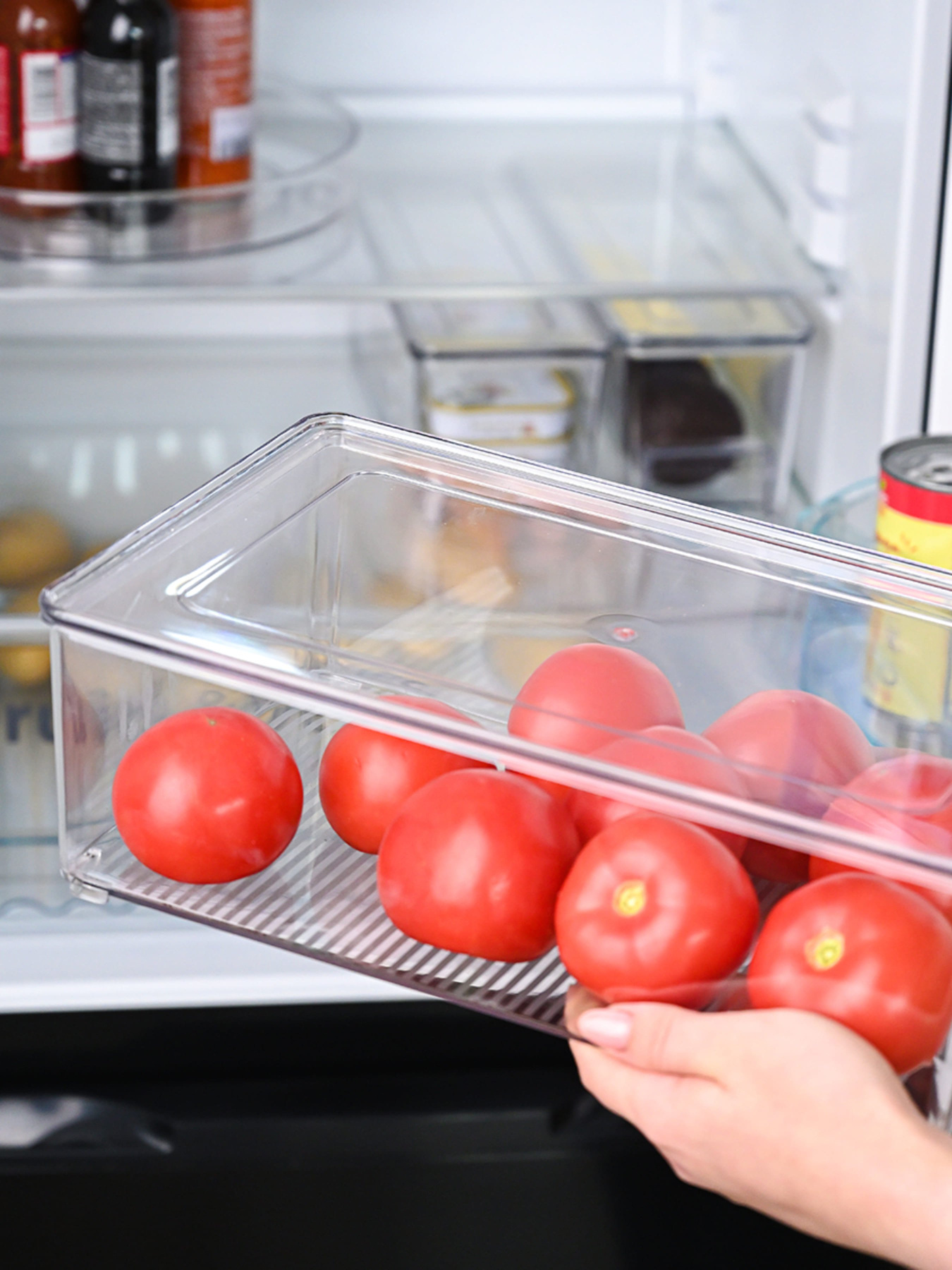 Контейнер для хранения с крышкой для холодильника прозрачный MBM MY HOME модель KP-72 M T Фото