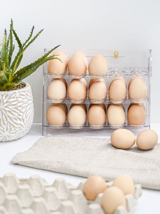 Контейнер трехуровневый для яиц MBM HOME модель KP-70 T Фото