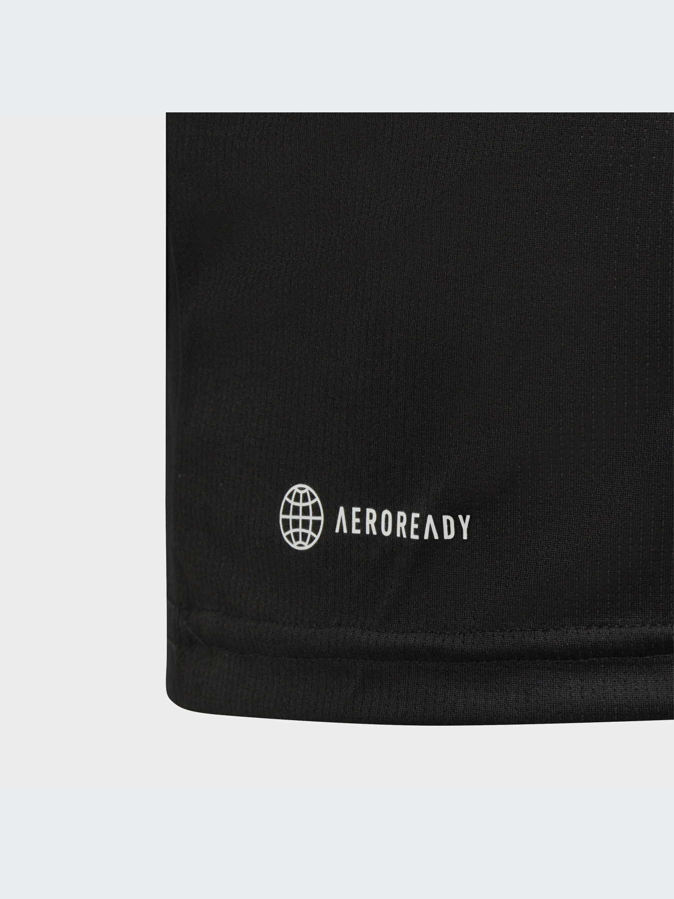 Футболка спортивная Adidas Clima модель IC5674 Фото