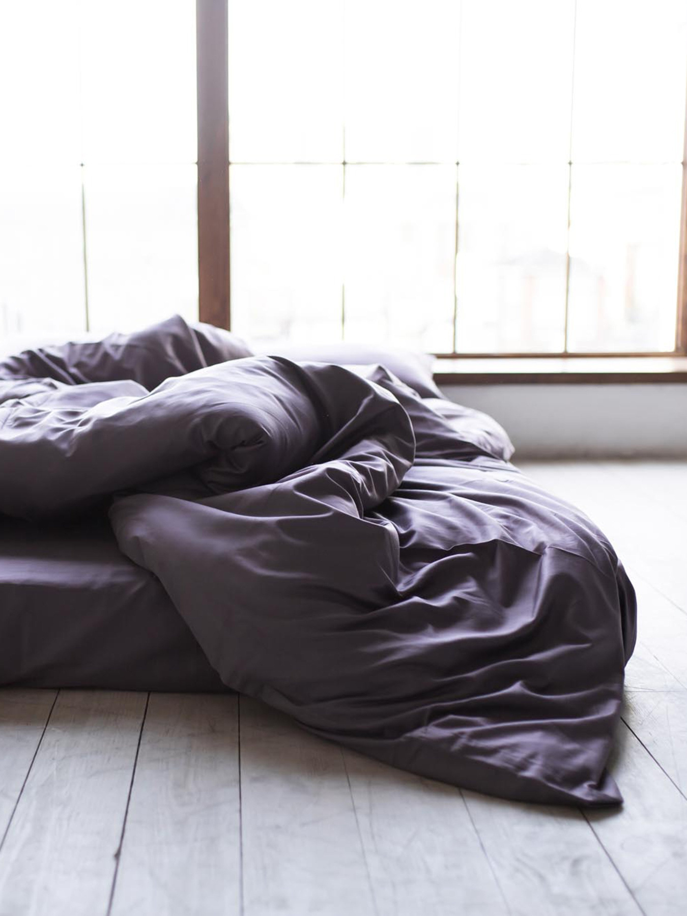 Комплект постельного белья Foggy Plum с натурального сатина OWLED модель SB1-1001-FP Фото