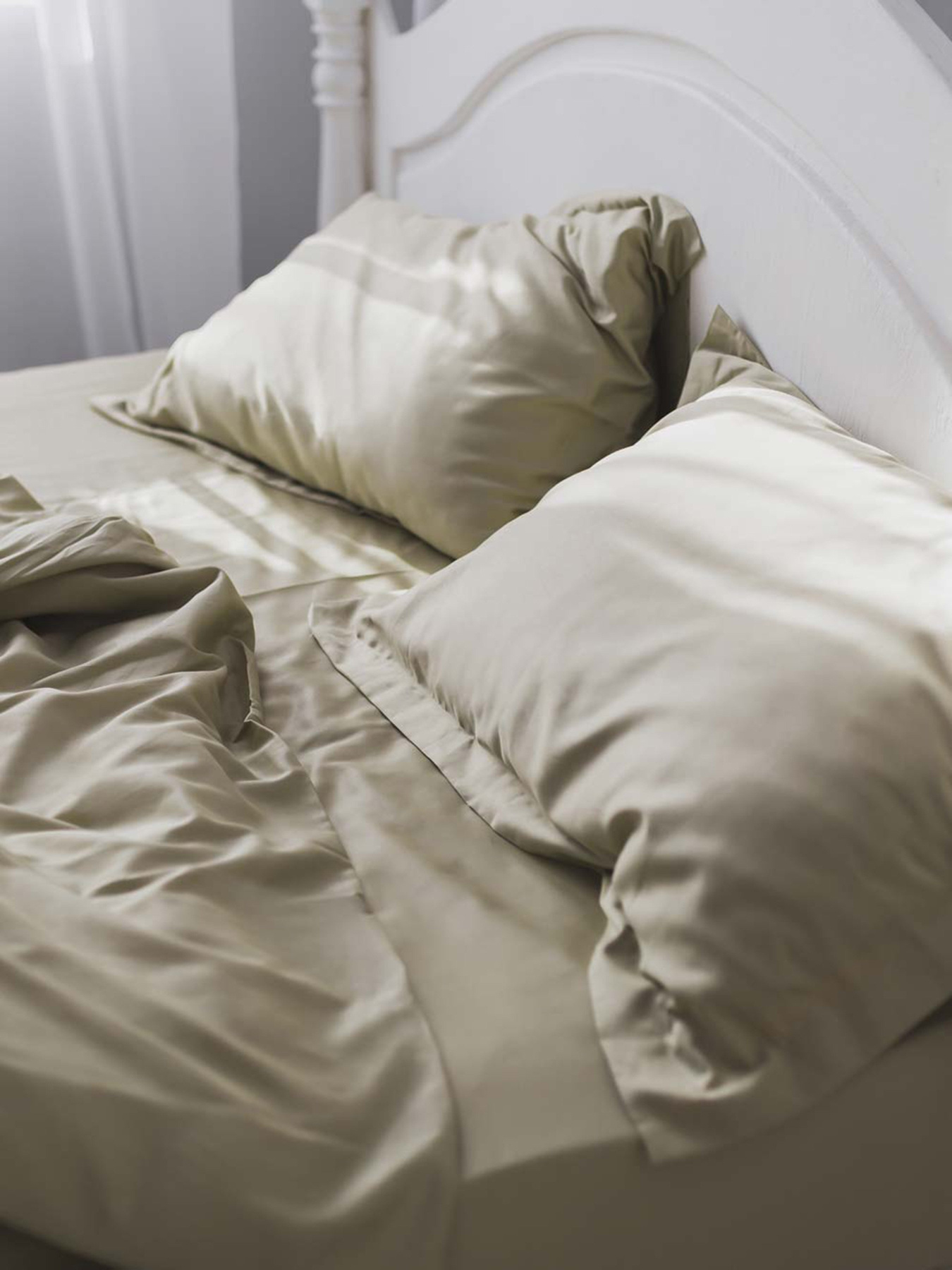 Комплект постельного белья Olive Tree с натурального сатина OWLED модель SB1-1001-OT Фото