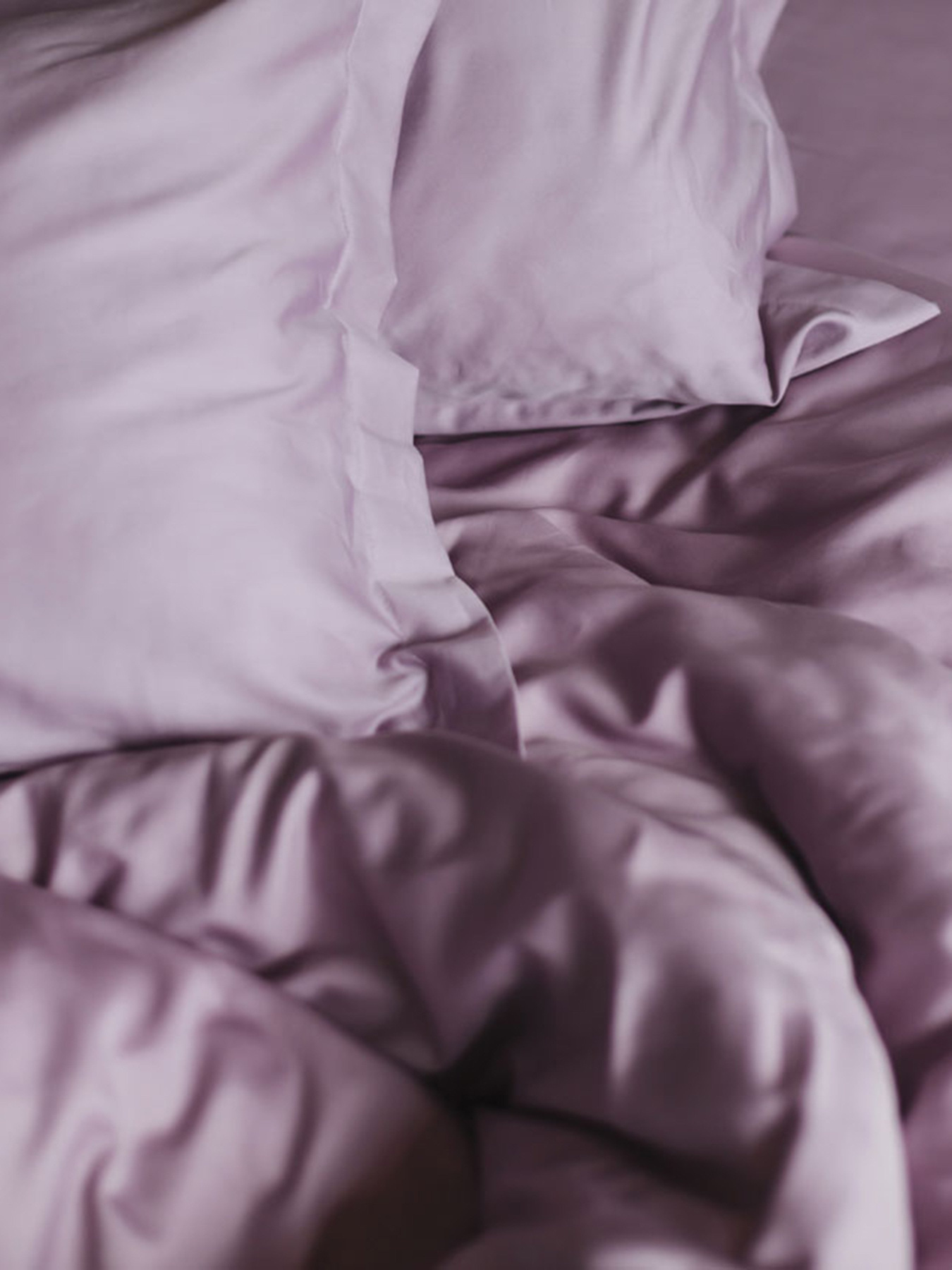 Комплект постільної білизни Dusty Rose з натурального сатину OWLED модель SB1-1001-DR Фото