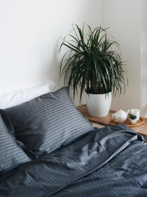 Комплект постельного белья Space с натурального страйп сатина OWLED модель SSB2-2002-S Фото