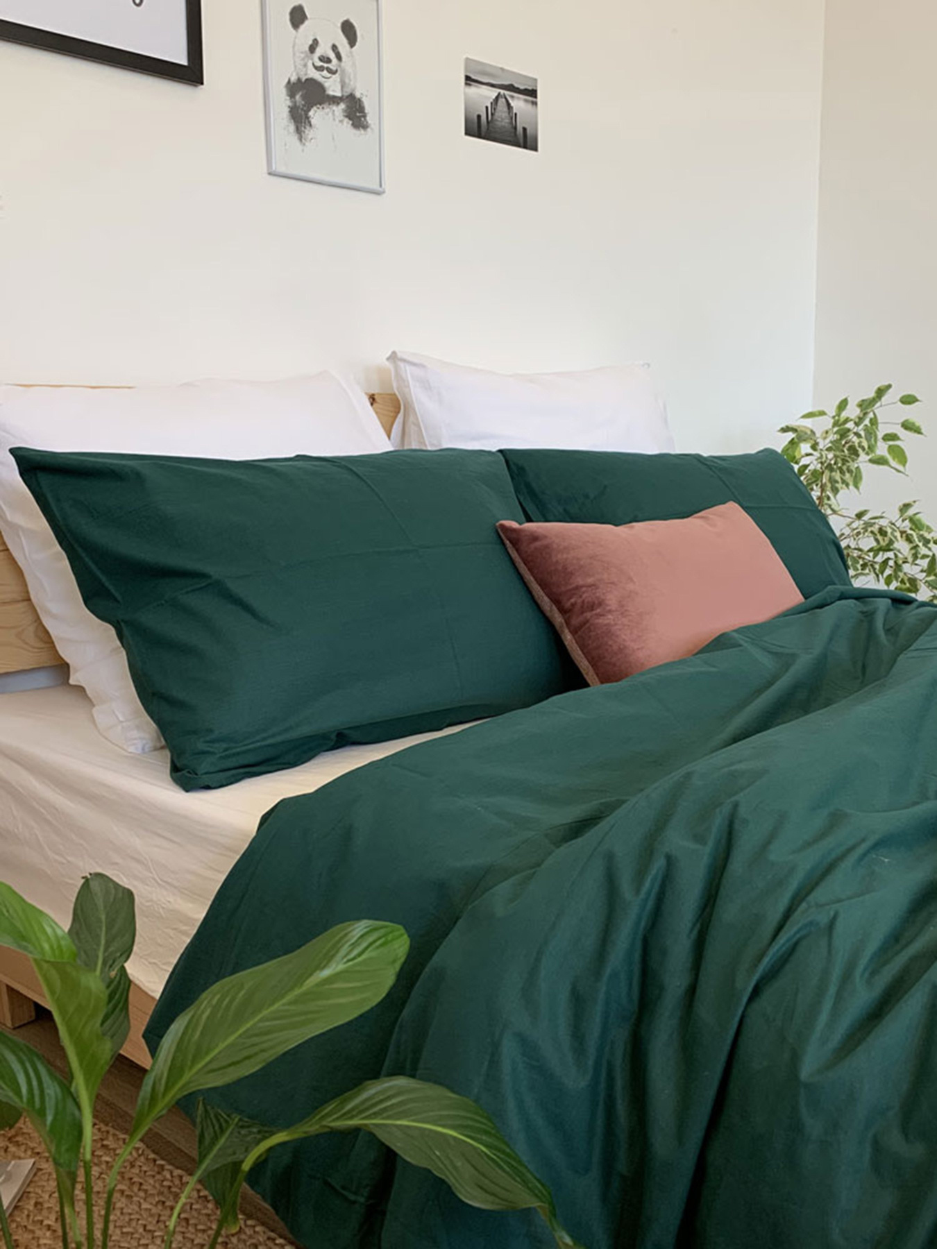 Комплект постельного белья Deep Green с натурального хлопка ранфорс OWLED модель RB5-5005-DG Фото