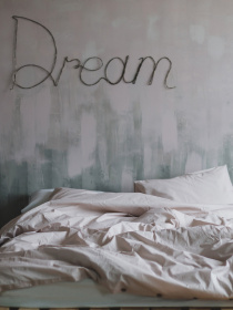 Комплект постельного белья Dream с натурального хлопка ранфорс OWLED модель RB5-5005-D Фото