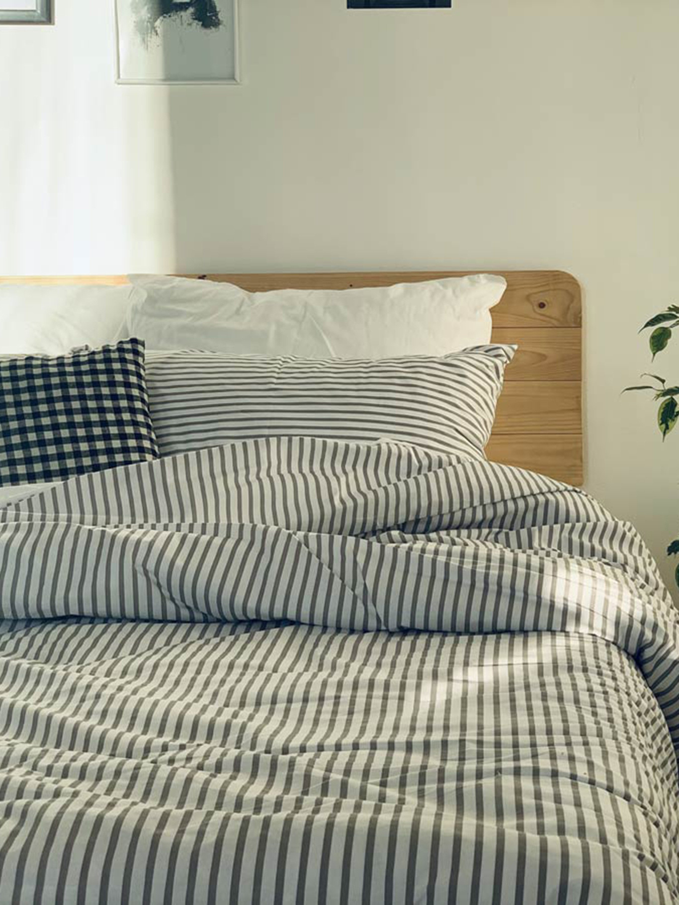 Комплект постельного белья Grey Strip с натурального хлопка ранфорс OWLED модель RB5-5005-GS Комплект постельного белья Grey Strip с натурального хлопка ранфорс OWLED модель RB5-5005-GS Фото