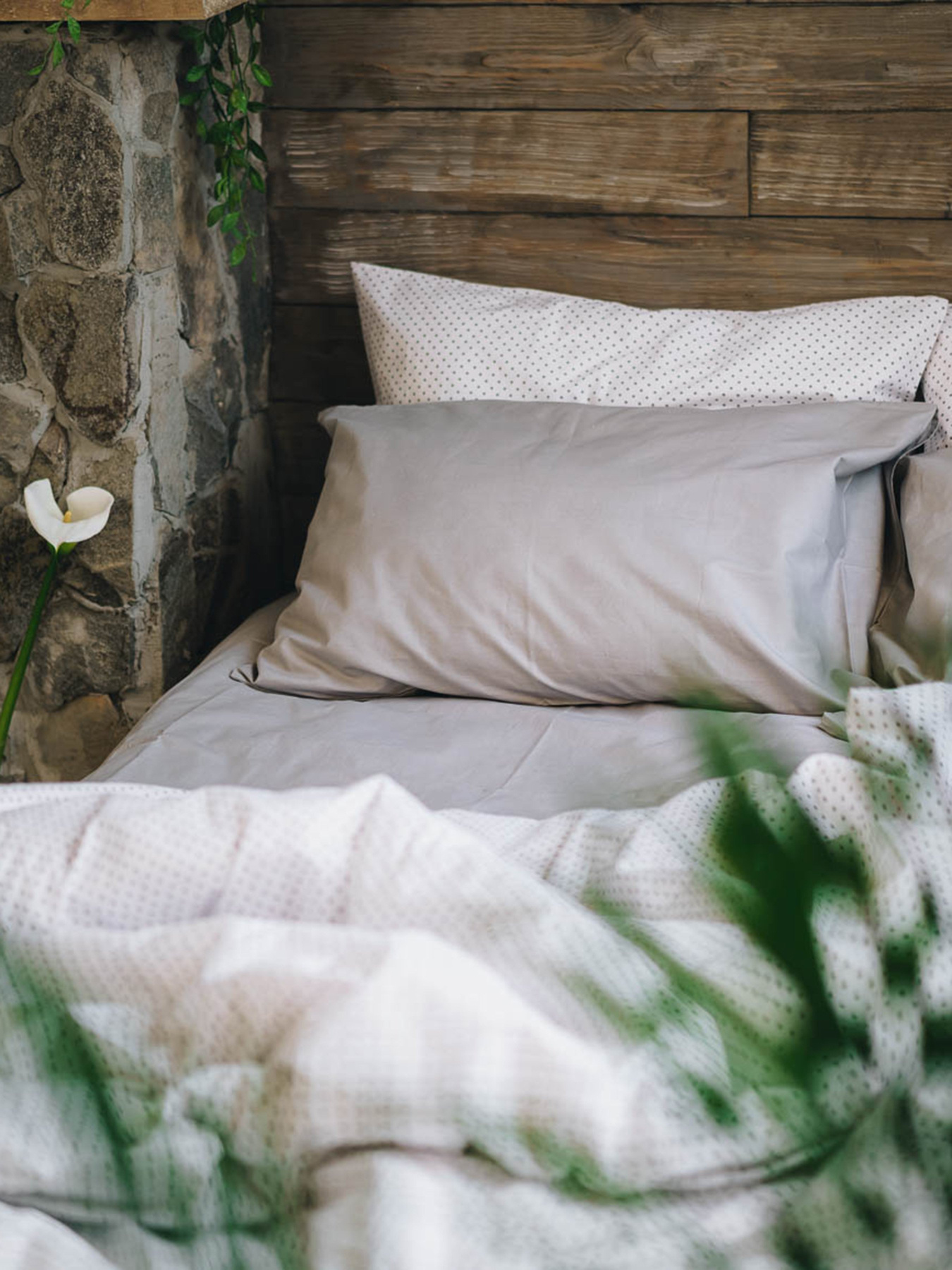 Комплект постельного белья Polar Magic с натурального хлопка ранфорс OWLED модель RB5-5005-PM Фото