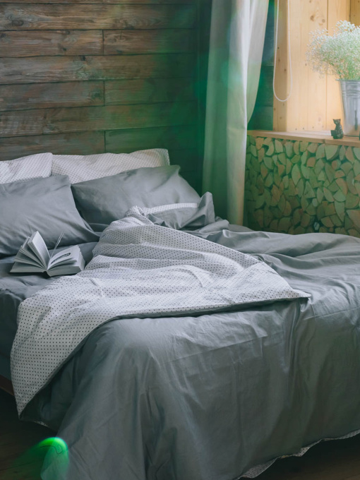 Комплект постільної білизни Polar Magic з натуральної бавовни ранфорс OWLED модель RB5-5005-PM Фото