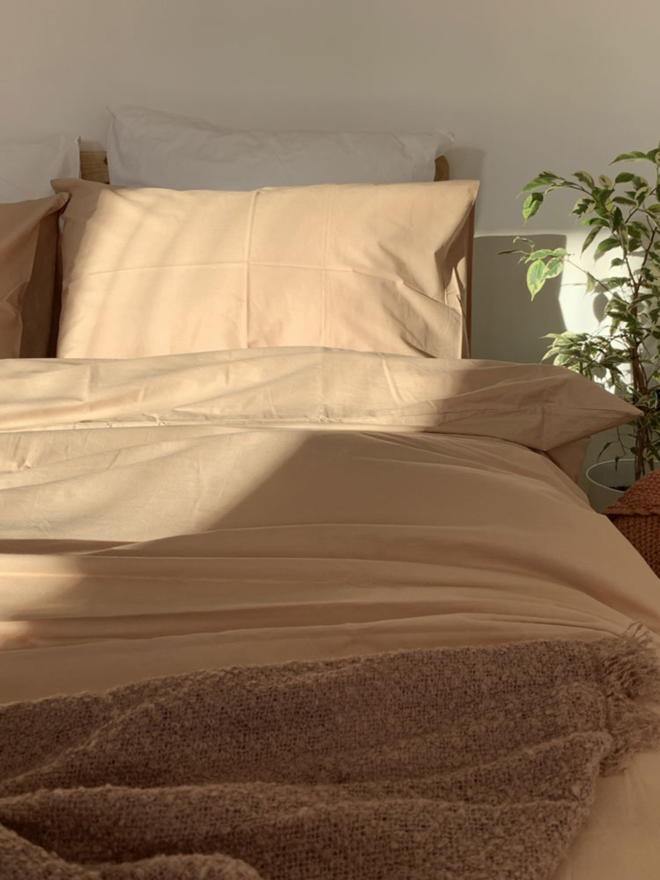 Комплект постельного белья Sand с натурального хлопка ранфорс OWLED модель RB5-5005-S Фото