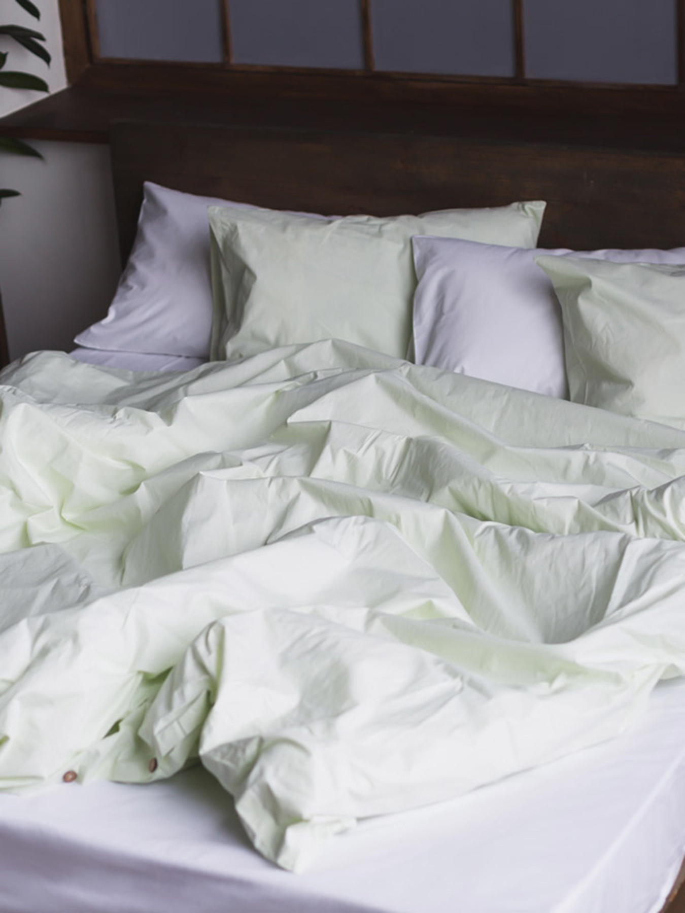 Комплект постельного белья Shadow Lime с натурального хлопка ранфорс OWLED модель RB5-5005-SL Фото