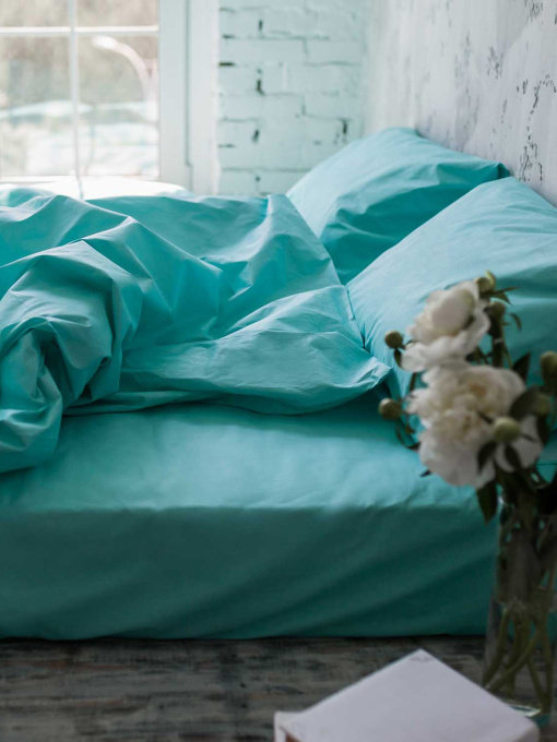 Комплект постельного белья Tiffany с натурального хлопка ранфорс OWLED модель RB5-5005-T Фото