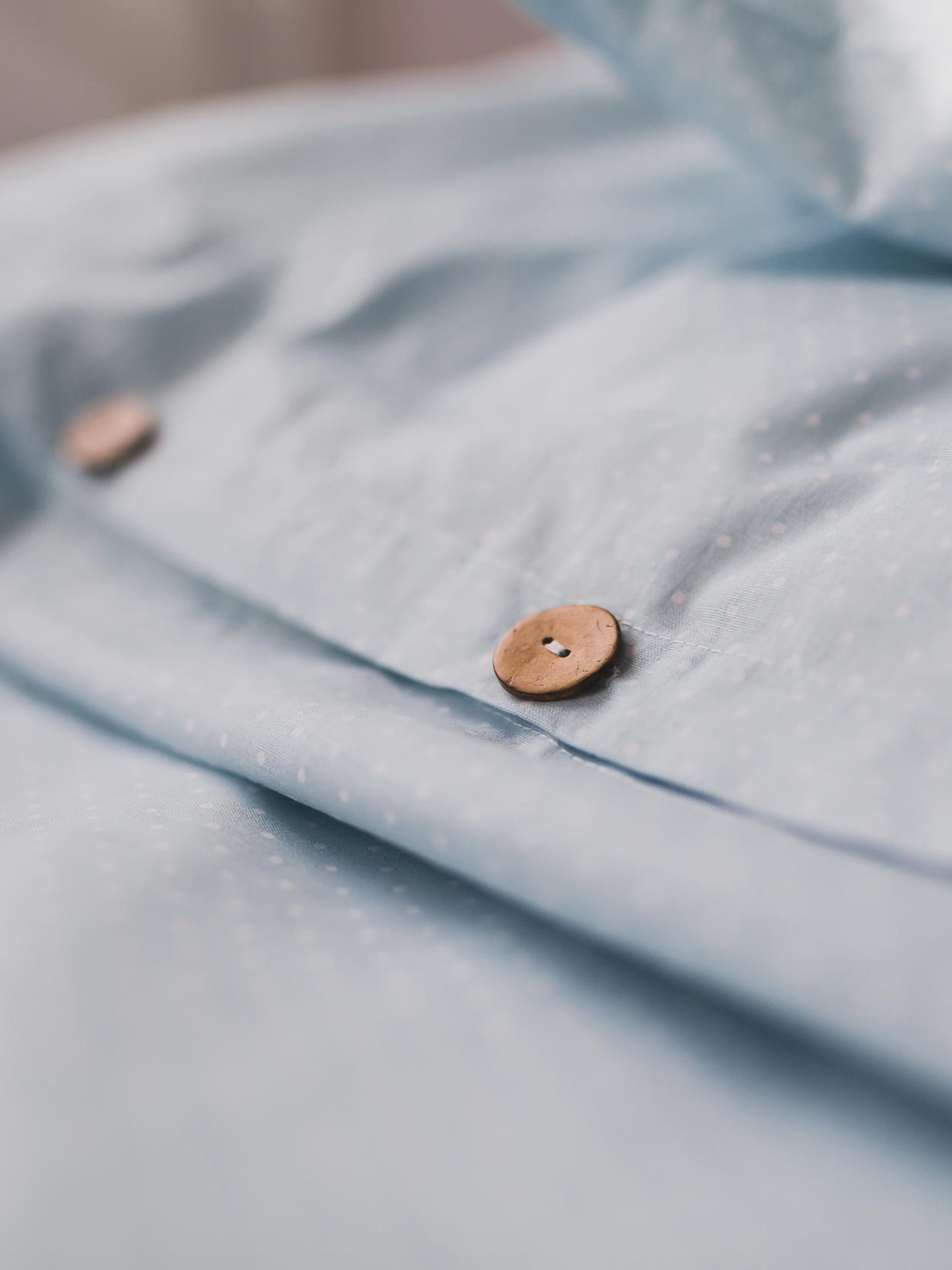 Комплект постільної білизни Blue Peas з натуральної бавовни ранфорс OWLED модель RB5-5005-BP Фото