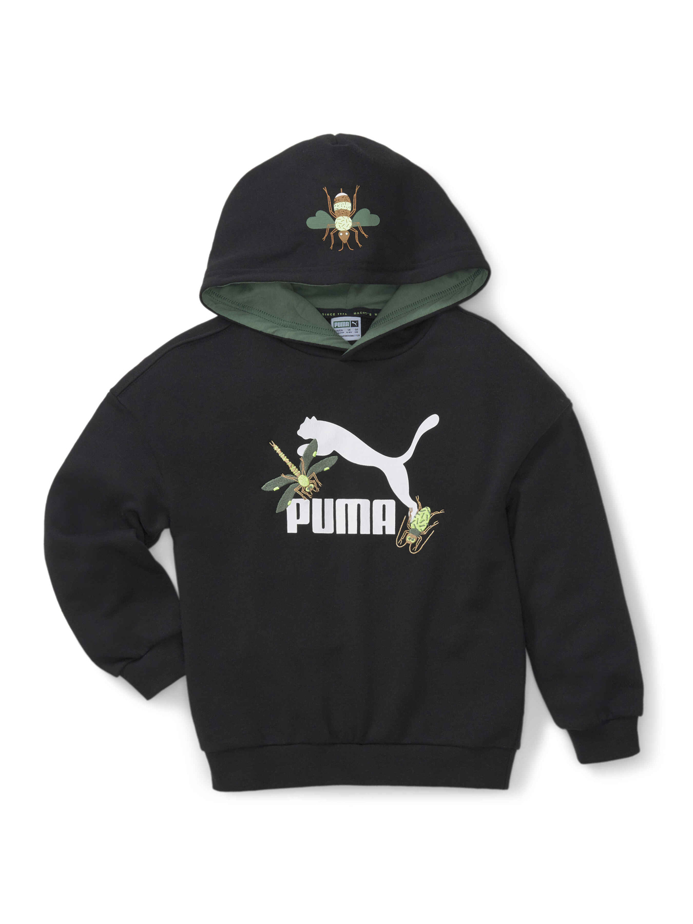 Худи PUMA Small World Hoodie модель 670135 Фото