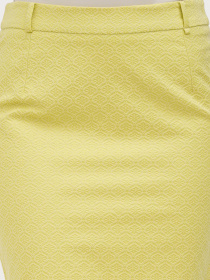 Юбка миди Sassofono модель A272-SC-1782_салатовый Фото