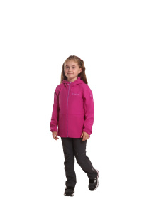 Ветровка ALPINE PRO Zerro модель 100053077 Фото