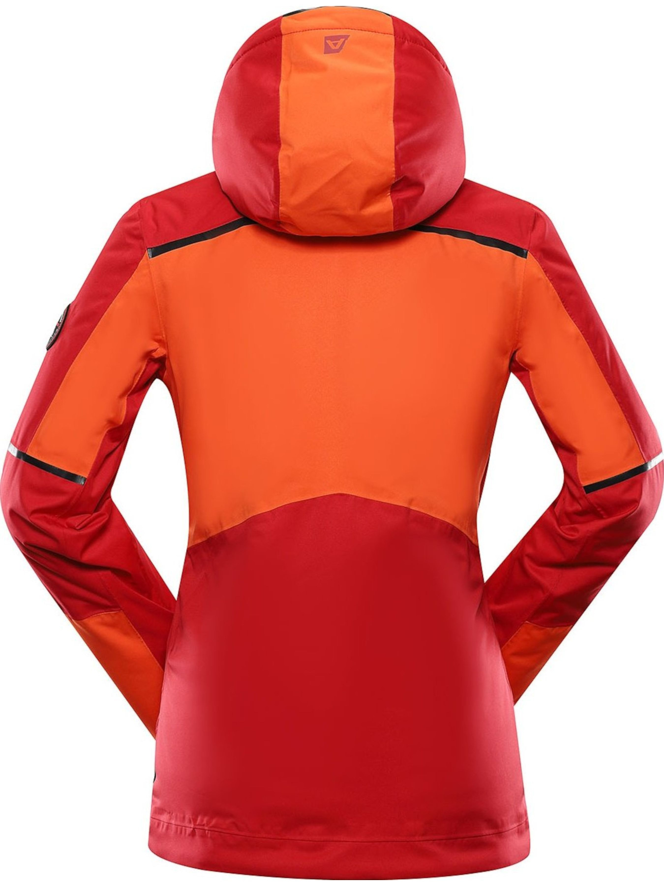 Горнолыжная куртка ALPINE PRO Malefa модель 100009512 Фото