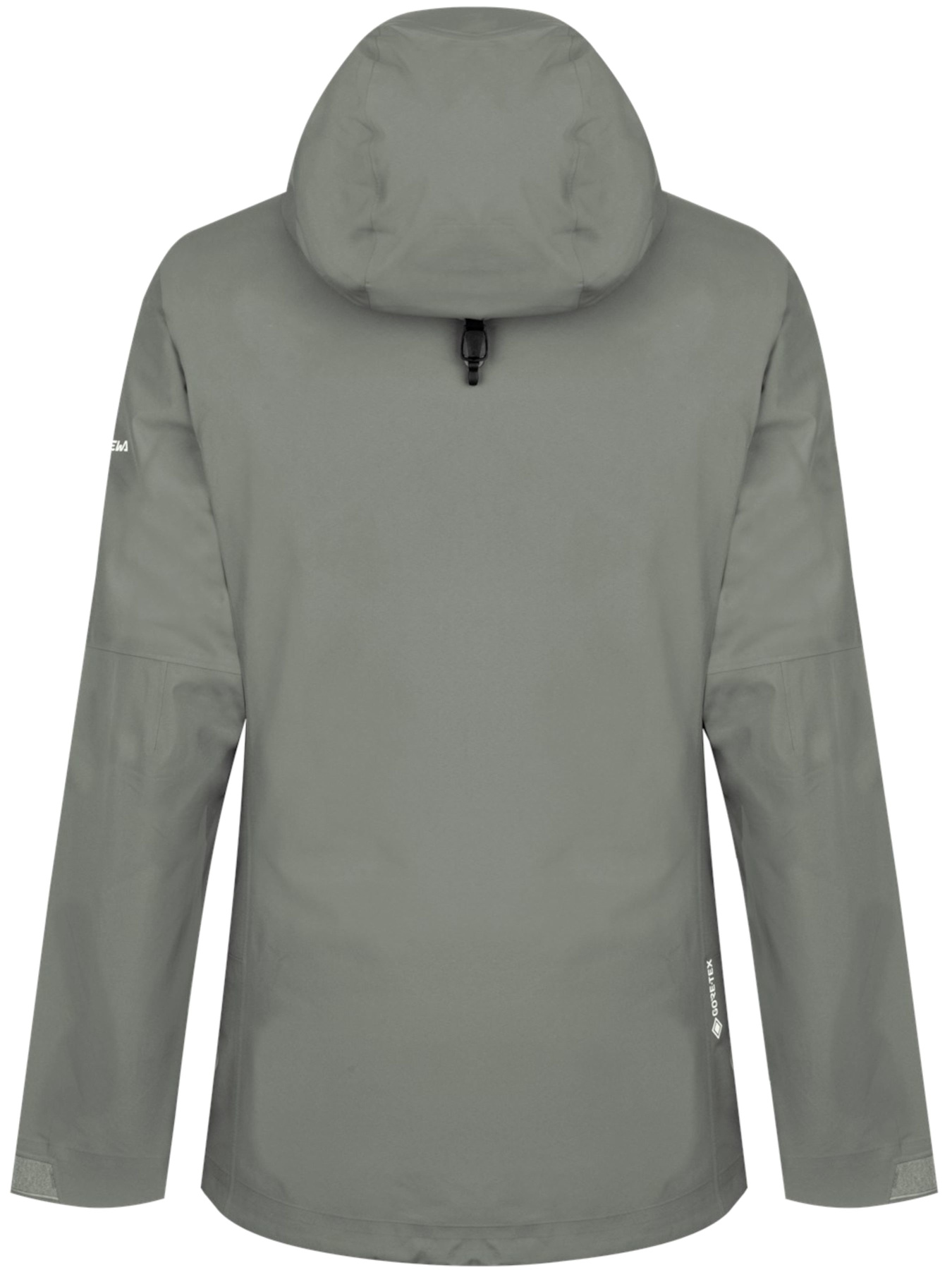 Демісезонна куртка Salewa Puez Gtx Paclite Jkt модель 100063025 Фото