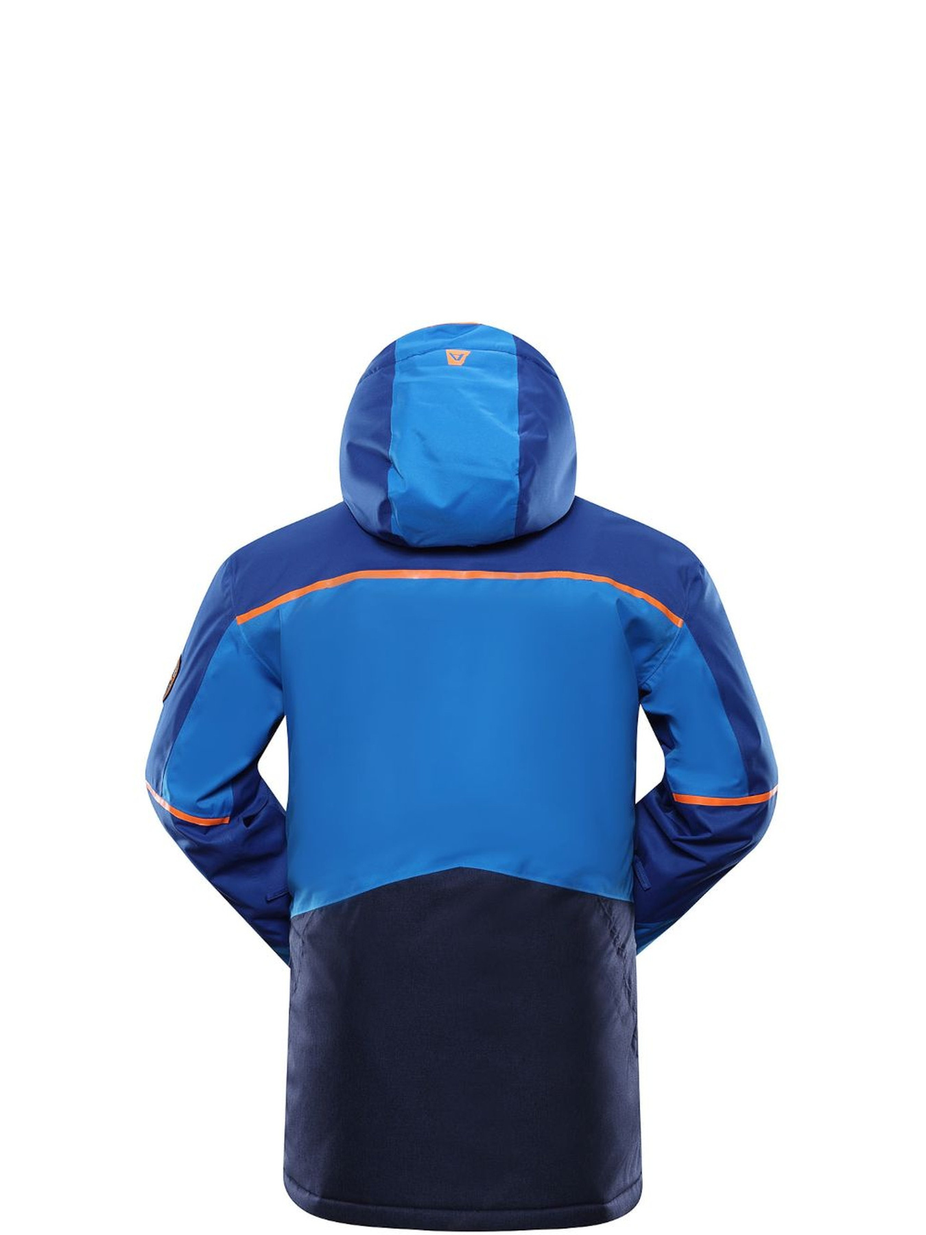 Гірськолижна куртка ALPINE PRO Malef модель 100064523 Фото