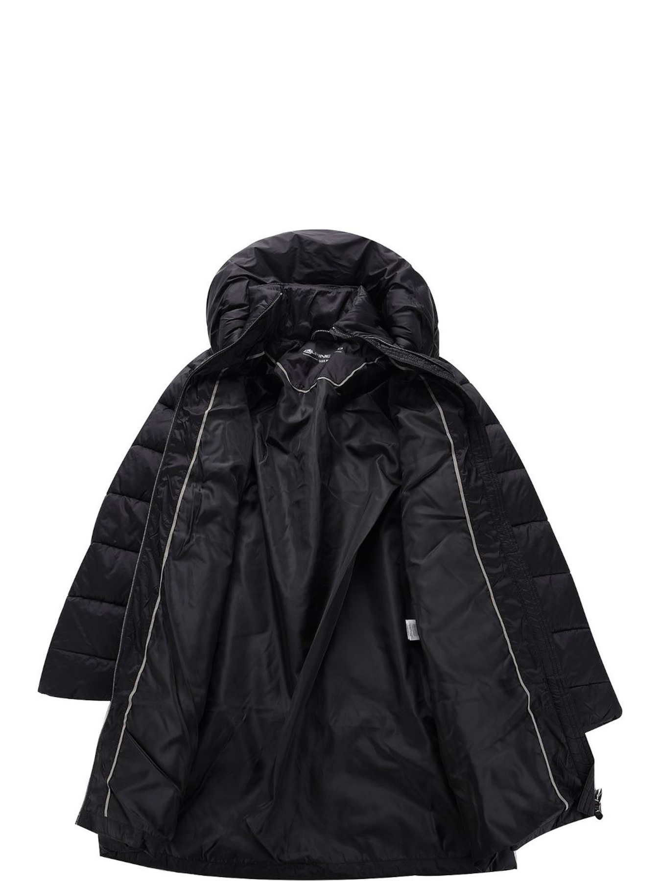 Зимняя куртка ALPINE PRO Tabaela модель 100043225 Фото