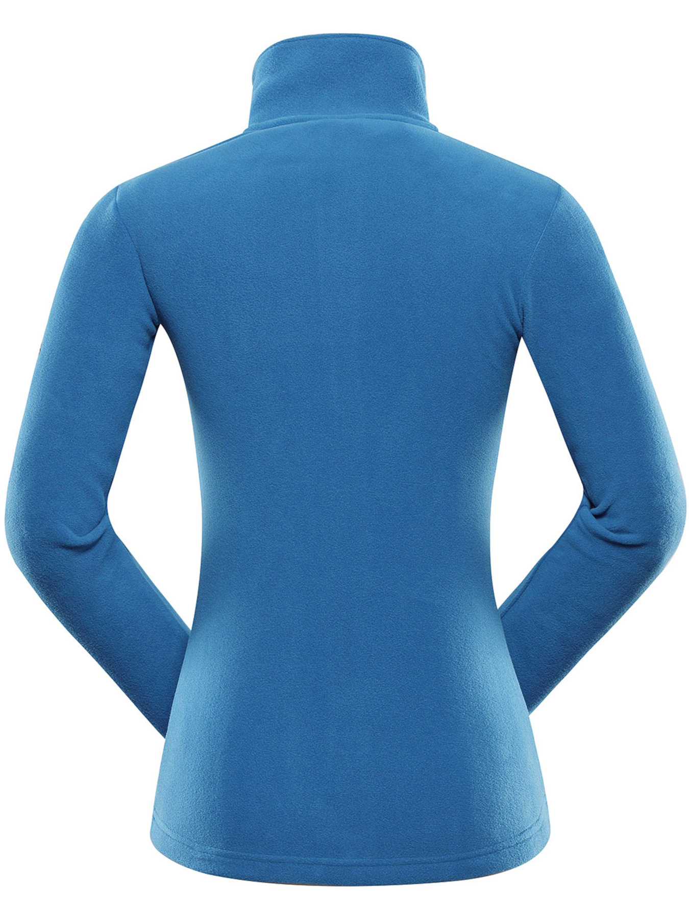 Спортивная кофта ALPINE PRO Siusa модель 100007741 Фото